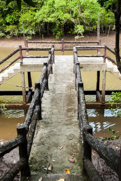 Die Mangrovenwälder von Ranong, Thailand. — Stockfoto