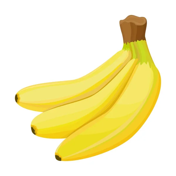 バナナ ベクトル 白地にバナナの房 手描き イラストやWebデザインでコラージュを作成することができます — ストックベクタ