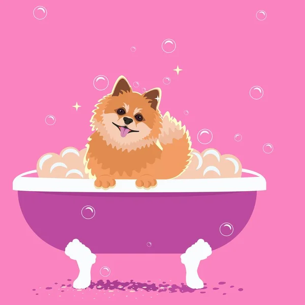 Toilettage Dodストックベクター ロイヤリティフリーtoilettage Dodイラスト Depositphotos