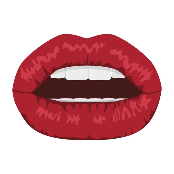 Lips Women Red Lips Beauty Sexuality Vector Drawing Closeup Can — Stock Vector