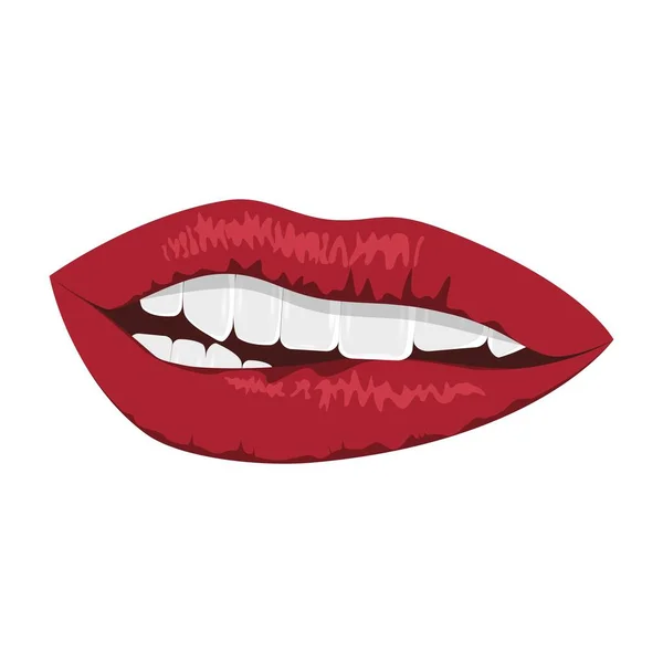 Lippen Die Roten Lippen Der Frauen Schönheit Sexualität Vektor Zeichnung — Stockvektor