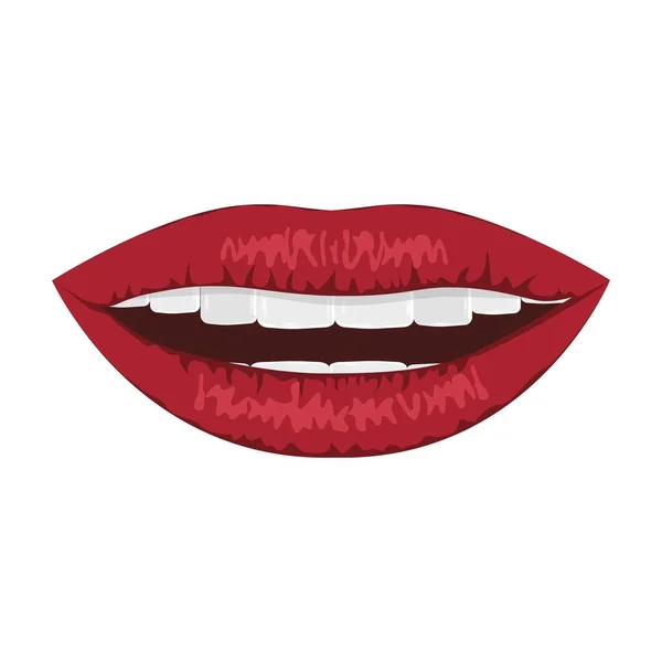 Lips Women Red Lips Beauty Sexuality Vector Drawing Closeup Can — Stock Vector