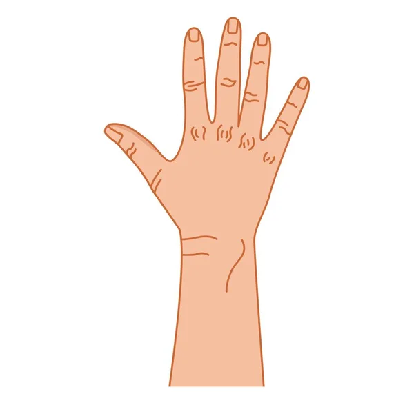 Hand Gesture Hand Vector Color Graphics Sign Fingers Intercultural Communication — Διανυσματικό Αρχείο