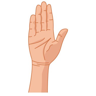 Hand gesture. Hand. Palm. Vector. Color graphics. Sign with the fingers. Intercultural communication. Indication, direction. Emotion. Linear drawing. White background.