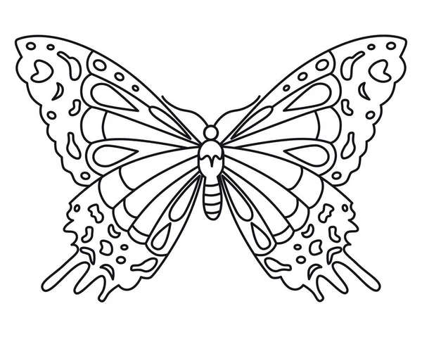 Butterfly. Vintage vector drawing. Flat outline style. Close-up. Used for stencils, coloring books, clipart, web design. 