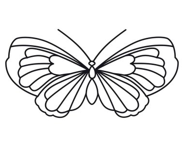 Butterfly. Vintage vector drawing. Flat outline style. Close-up. Used for stencils, coloring books, clipart, web design. 