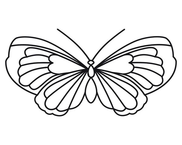 Butterfly Vintage Vector Drawing Flat Outline Style Close Used Stencils — Stockový vektor