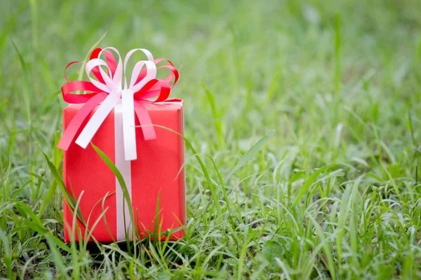 Rote Geschenkschachtel auf dem Rasenplatz — Stockfoto