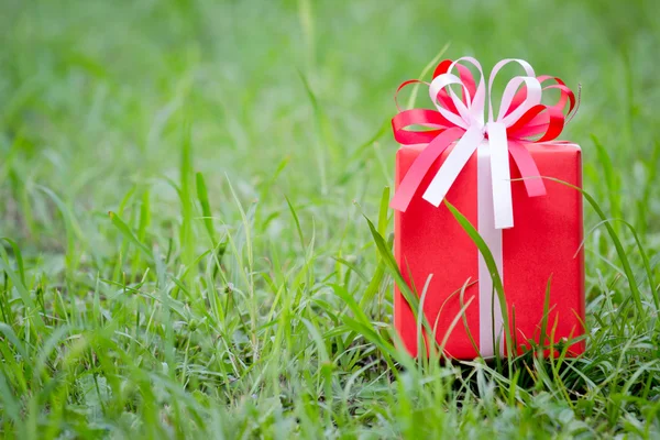 Rote Geschenkschachtel auf dem Rasenplatz — Stockfoto