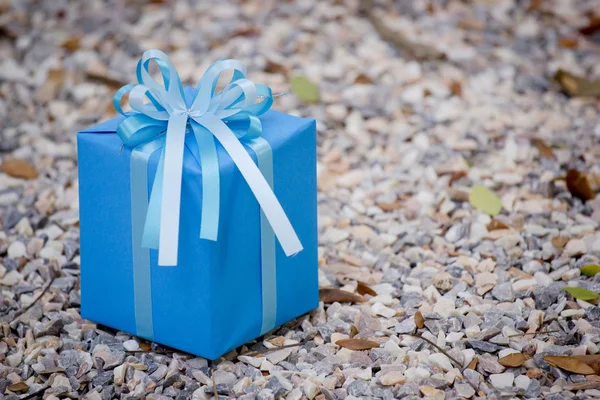 Blaue Geschenkbox auf dem Felsen — Stockfoto