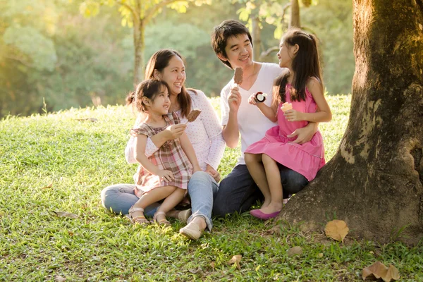 Asya ailesiyle mutlu: icecream Park