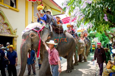 Sukhothai, thailand - 7 Nisan: kimliği belirsiz kişi geleneğinde sri satchanalai bölgesinin bir bütün grup yeni keşiş Filler ile 7 Nisan 2014 sukhothai, thailand ordaining..