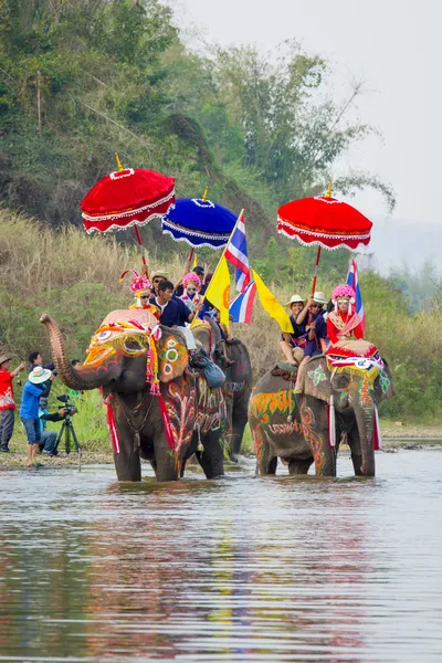 Sukhothai, thailand - 7 kwietnia: niezidentyfikowanych ludzi w tradycji sri satchanalai dzielnicy wyświęcanie całej grupy nowym mnisi z słoni na 7 kwietnia 2014 w sukhothai, thailand. — Zdjęcie stockowe