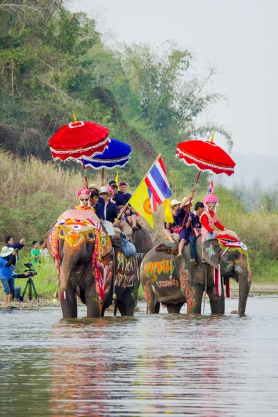 SUKHOTHAI, THAILAND - April 7 : Unidentified people in tradition of the Sri Satchanalai district for ordaining a whole group of new monks with elephants on April 7, 2014 in Sukhothai, Thailand. — Stock Photo, Image