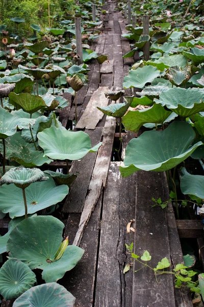 Vecchio ponte pedonale in legno — Foto Stock