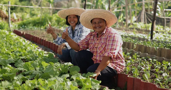 Smiling face of happy Asian farmer thumb up among fresh organic vegetable in local farm at countryside.