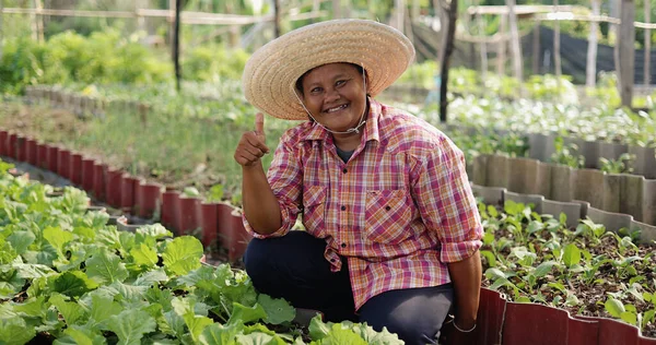Smiling face of happy Asian farmer thumb up among fresh organic vegetable in local farm at countryside.