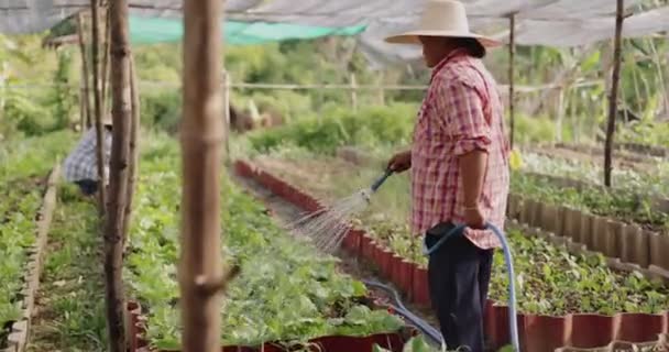 Asian Farmer Woman Watering Vegetable Countryside Garden — Stockvideo