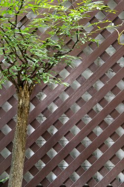 kahverengi tahta haç ile yeşil ağaç