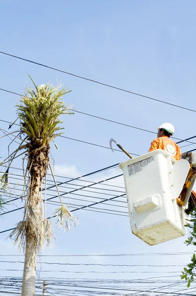 Trabajador electricista en recolector de cereza resolver hoja de palma y proteger — Foto de Stock