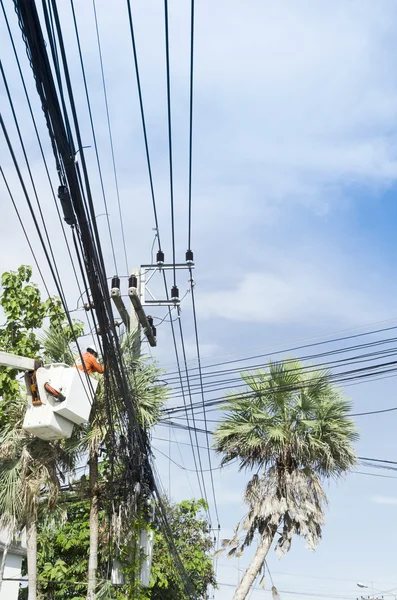 Elektrikçi işçi kiraz seçici palmiye yaprağı çözmek ve korumak