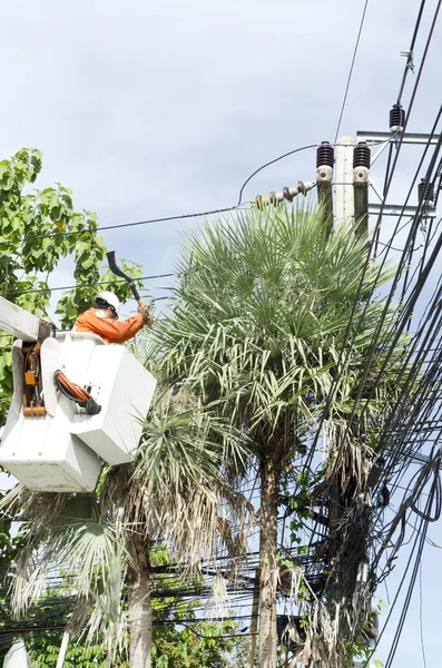 Dělník elektrikář v cherry pro výběr řešení Palmový list a chránit — Stock fotografie