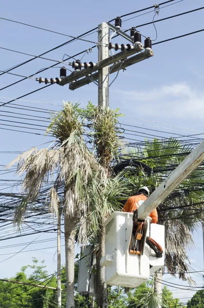Electrician worker in cherry picker solve palm leaf and protect — Stock Photo, Image