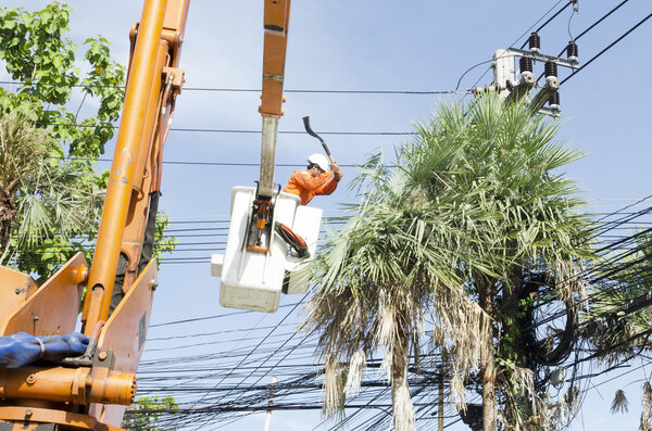 Electrician worker in cherry picker solve palm leaf and protect