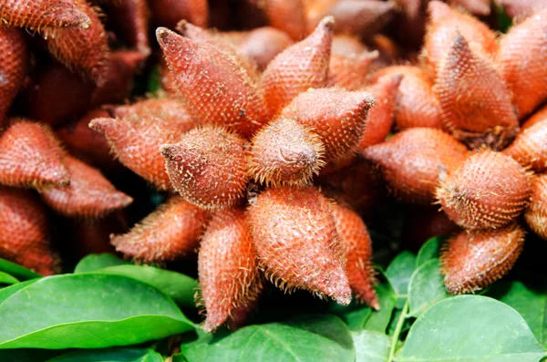 Zalacca、タイの伝統的な季節の甘いフルーツ味 — ストック写真