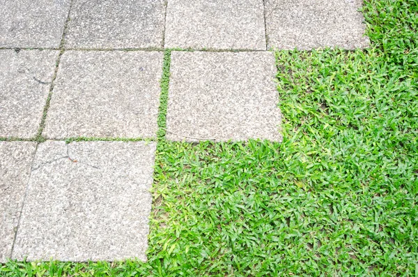 Gartenweg mit Gras, das auf den Steinen wächst — Stockfoto