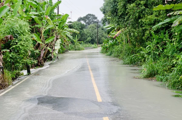 Flooded roadway — Stock Photo, Image