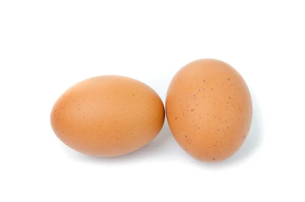 Eggs — Stock Photo, Image