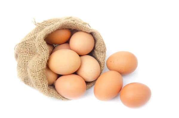 Eggs — Stock Photo, Image