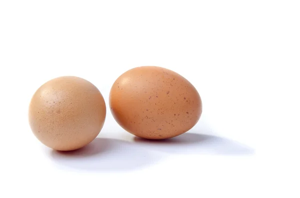 Eggs — Stock Photo, Image