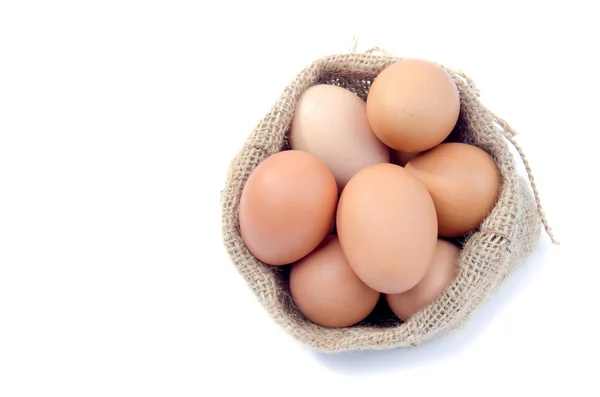 Eggs — Stock Photo, Image