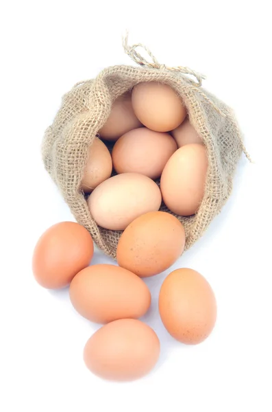 Eggs — Stock Photo, Image