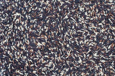 siyah-beyaz uzun pirinç arka plan, çiğ çiğ tahıllar.