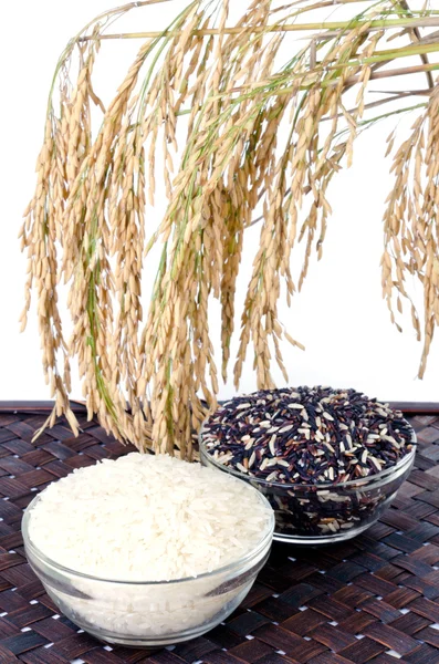 Roher Reis, Auswahl von Reis — Stockfoto