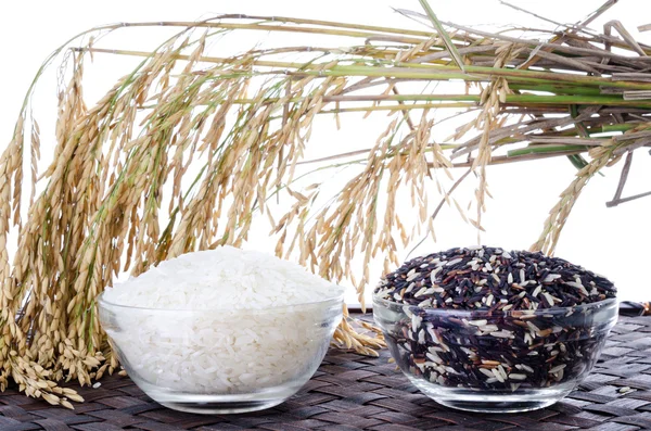 Ακατέργαστο ρύζι, επιλογή των ρύζια — Φωτογραφία Αρχείου