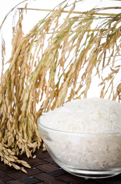 Riz cru, sélection de riz — Photo
