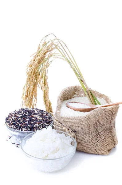 Raw rice, Selection Of black rice white rice and white steamed r — Stock Photo, Image