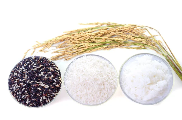 Roher Reis, Auswahl von Reis — Stockfoto