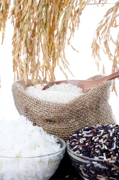 Raw rice, Selection Of Rices — Stock Photo, Image