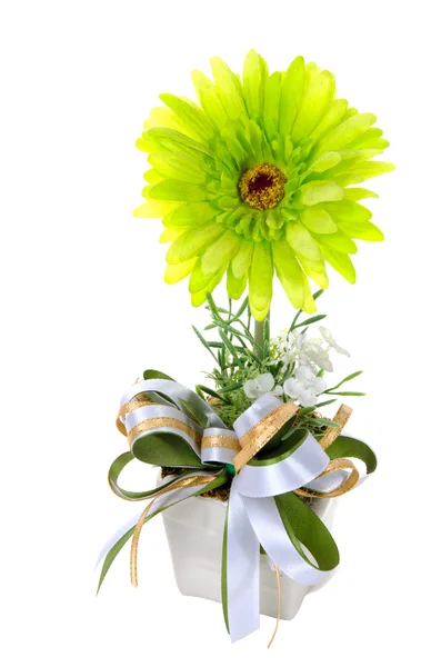 Green Flower in a vase Stock Image