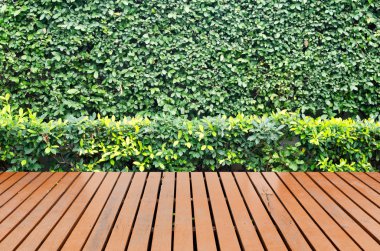 Oda iç yaprak yeşil duvar ahşap arka planlar