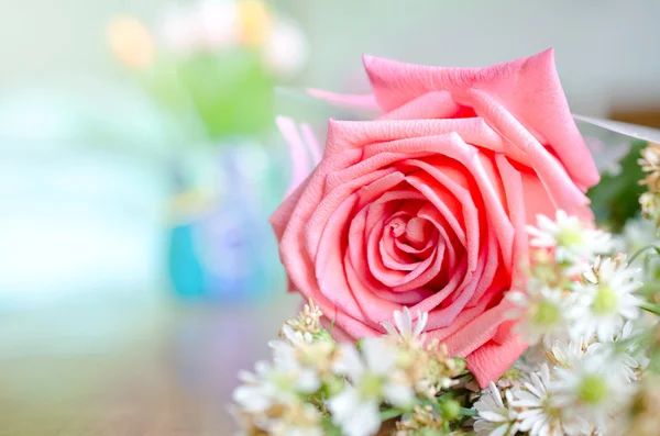 Rose — Stock Photo, Image