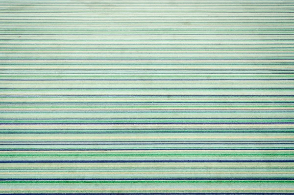 Textura de alfombra verde vieja — Foto de Stock