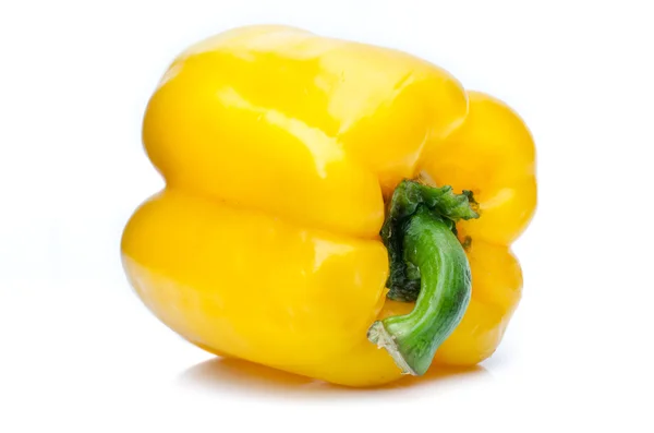 Paprika eller capsicum isolerad på vit — Stockfoto