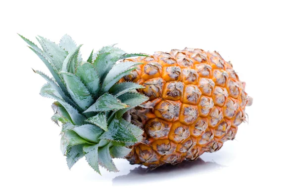 Ananas na białym tle — Zdjęcie stockowe