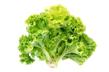 Demet taze marul salata yaprakları